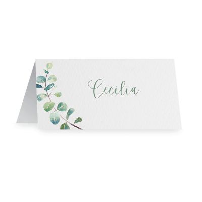 Placeringskort - Branche d'eucalyptus